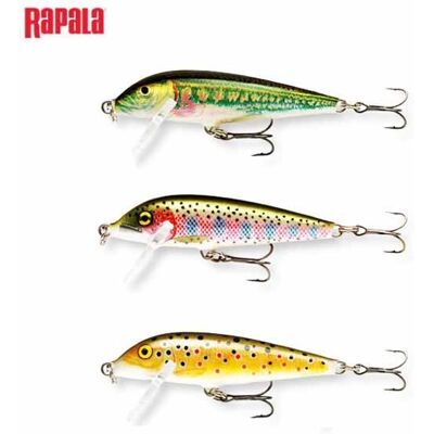 Kit leurres truite - RAPALA - Truite Poisson Nageur 5cm - Wakasagi - 3 leurres (1 coulant 2 flottants) - Publicité Kit leurres truite - RAPALA - Truite Poisson Nageur 5cm - Wakasagi - 3 leurres (1 coulant 2 flottants) - Publicité