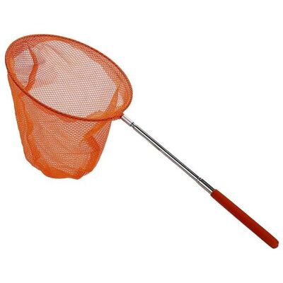SODIAL Attraper Attraper Le Papillon Pêche Au Filet Sac En Filet De Pêche Télescopique En Acier Inoxydable Outil Extérieur Télescopique - Publicité SODIAL Attraper Attraper Le Papillon Pêche Au Filet Sac En Filet De Pêche Télescopique En Acier Inoxydable Outil Extérieur Télescopique - Publicité