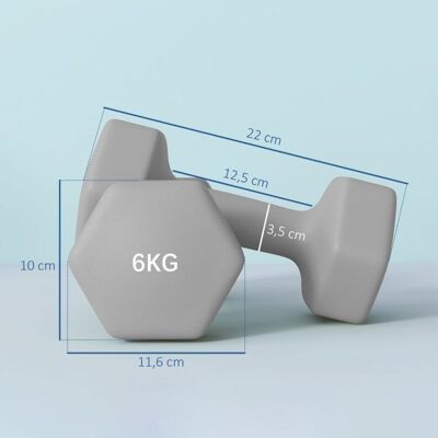 Generic Ensemble de 2 haltères de 6 kg forme hexagonale respectueuses du sol antidérapantes grises Gris - Publicité Generic Ensemble de 2 haltères de 6 kg forme hexagonale respectueuses du sol antidérapantes grises Gris - Publicité