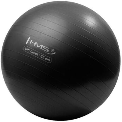 HMS YB02N Ballon de Gymnastique Noir 65cm - Ballon de Gymnastique - Publicité HMS YB02N Ballon de Gymnastique Noir 65cm - Ballon de Gymnastique - Publicité
