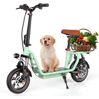 Trottinette Électrique avec Siège i12 Vert 500W 42V7.5Ah Autonomie 30-35km 12Pneu Double absorption des chocs - iScooter Vert - Publicité Trottinette Électrique avec Siège i12 Vert 500W 42V7.5Ah Autonomie 30-35km 12Pneu Double absorption des chocs - iScooter Vert - Publicité