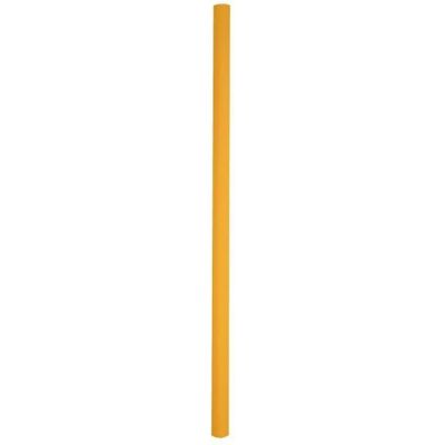 Sporti France Fry Pool Noodle - Noodle pour Piscine - Publicité Sporti France Fry Pool Noodle - Noodle pour Piscine - Publicité