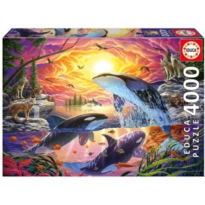 Puzzle - EDUCA - Orques et Loups - 4000 pièces - 136 x 96 cm - Pour adultes à partir de 15 ans - Publicité Puzzle - EDUCA - Orques et Loups - 4000 pièces - 136 x 96 cm - Pour adultes à partir de 15 ans - Publicité