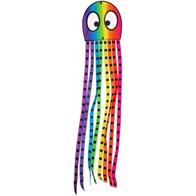 WOLKENSTÜRMER Cerf-volant pour enfants Wolkensturmer Olli Octopus Rainbow 1174 Arc-en-ciel 50 x 200 cm - Publicité WOLKENSTÜRMER Cerf-volant pour enfants Wolkensturmer Olli Octopus Rainbow 1174 Arc-en-ciel 50 x 200 cm - Publicité