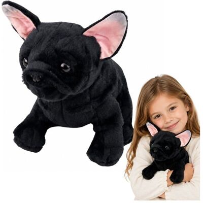 Bouledogue français en peluche noir - LEAN Toys - 22 x 16 x 21 cm - Peluche douce - Rembourrage synthétique Noir - Publicité Bouledogue français en peluche noir - LEAN Toys - 22 x 16 x 21 cm - Peluche douce - Rembourrage synthétique Noir - Publicité