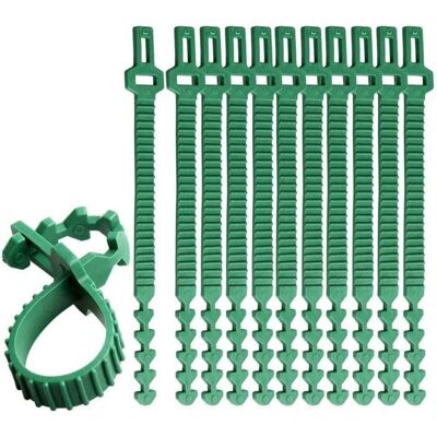 AIMOONSA 10x Attaches pour plantes 35 cm vert – Liens réutilisables pour arbres tuteurs et vignes Vert - Publicité AIMOONSA 10x Attaches pour plantes 35 cm vert – Liens réutilisables pour arbres tuteurs et vignes Vert - Publicité
