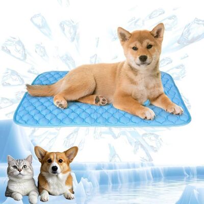 Tapis rafraîchissant pour chien et chat AIMOONSA 70 x 55 cm — bleu auto‑refroidissant Bleu - Publicité Tapis rafraîchissant pour chien et chat AIMOONSA 70 x 55 cm — bleu auto‑refroidissant Bleu - Publicité