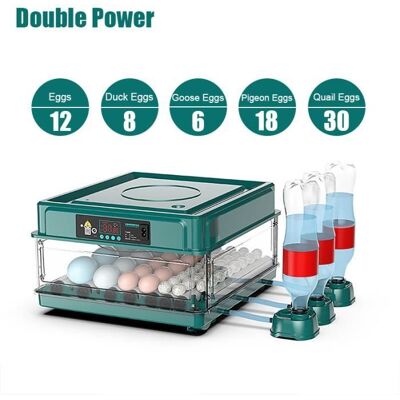 Mini incubateur doiedouble incubateur domestique intelligentjetableœuf de paonpigeon à puissance - 12 Eggs-EU-220V Vert - Publicité Mini incubateur doiedouble incubateur domestique intelligentjetableœuf de paonpigeon à puissance - 12 Eggs-EU-220V Vert - Publicité