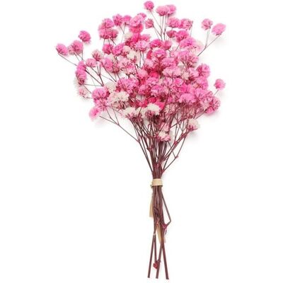 Mini Bouquet de fleurs naturelles séchées - Gypsophila - Rose foncé - Petit bouquet décoratif - Intérieur Rose - Publicité Mini Bouquet de fleurs naturelles séchées - Gypsophila - Rose foncé - Petit bouquet décoratif - Intérieur Rose - Publicité