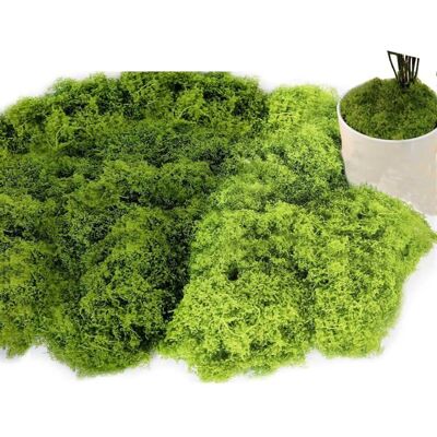 Mousse Artificielle Vert Foncé 160g pour Décoration Murale/Crèche/Aquarium/Modélisme DIY Meoiruery - Publicité Mousse Artificielle Vert Foncé 160g pour Décoration Murale/Crèche/Aquarium/Modélisme DIY Meoiruery - Publicité