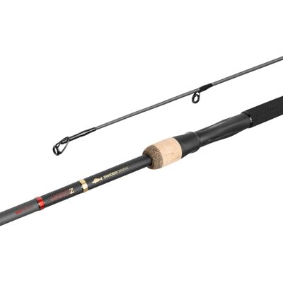 Delphin HARDZ 230cm/60g/2 pcs 230cm/60g/2 pcs - Publicité Delphin HARDZ 230cm/60g/2 pcs 230cm/60g/2 pcs - Publicité
