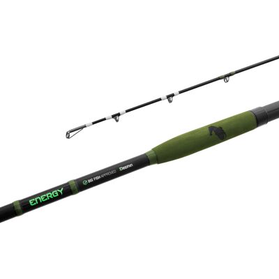 Delphin ENERGY Catfish 250cm/250-500g/2 pcs 250cm/250-500g/2 pcs - Publicité Delphin ENERGY Catfish 250cm/250-500g/2 pcs 250cm/250-500g/2 pcs - Publicité