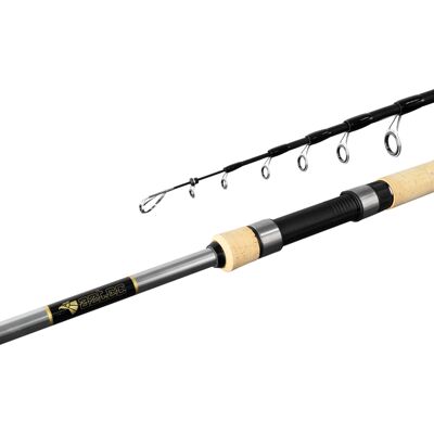 Canne carnassier Delphin AZTEC tele 270cm/50g 270cm/50g - Publicité Canne carnassier Delphin AZTEC tele 270cm/50g 270cm/50g - Publicité