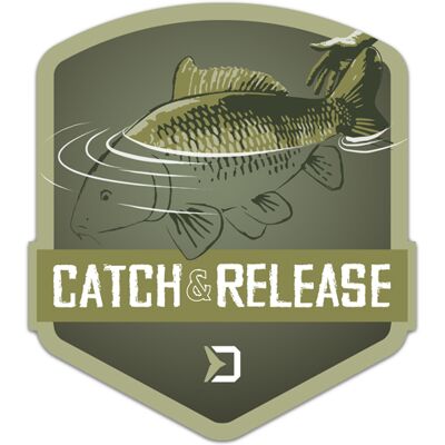 Autocollant Delphin CATCH and RELEASE 9x8cm Gray, Beige, Silver 9x8cm - Publicité Autocollant Delphin CATCH and RELEASE 9x8cm Gray, Beige, Silver 9x8cm - Publicité