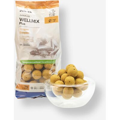 CAPERLAN Bouillettes pêche de la carpe Wellmix Plus 25mm 1kg Scopex - Publicité CAPERLAN Bouillettes pêche de la carpe Wellmix Plus 25mm 1kg Scopex - Publicité