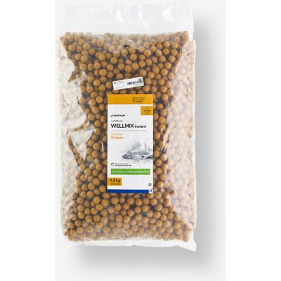 CAPERLAN Bouillettes pêche de la carpe Wellmix Instant 15mm 9,5kg Scopex - Publicité CAPERLAN Bouillettes pêche de la carpe Wellmix Instant 15mm 9,5kg Scopex - Publicité