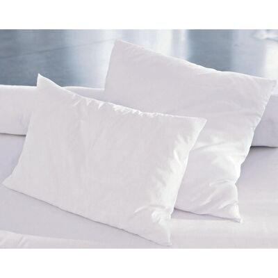 Becquet Lot de 2 Oreillers Médium Cliniguard Antibactérien 65 x 65 cm unisex - Publicité Becquet Lot de 2 Oreillers Médium Cliniguard Antibactérien 65 x 65 cm unisex - Publicité