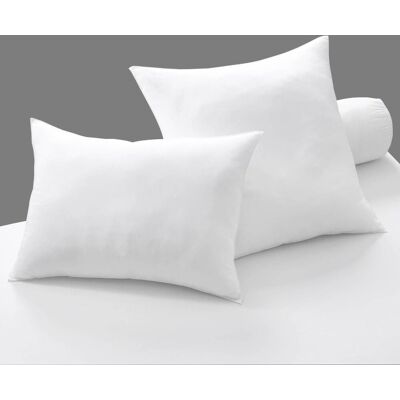 Becquet Lot de 2 oreillers médium blancs unis anti-transpiration - EOLE FRESH 60 x 60 cm unisex - Publicité Becquet Lot de 2 oreillers médium blancs unis anti-transpiration - EOLE FRESH 60 x 60 cm unisex - Publicité