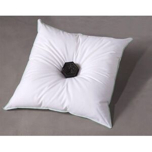 Becquet Oreiller Moelleux Antitranspiration 60 x 60 cm unisex - Publicité Becquet Oreiller Moelleux Antitranspiration 60 x 60 cm unisex - Publicité