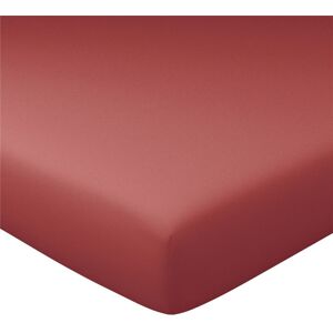 Becquet Drap-housse uni en jersey Grand Bonnet orange sienne 90 x 200 cm unisex - Publicité Becquet Drap-housse uni en jersey Grand Bonnet orange sienne 90 x 200 cm unisex - Publicité