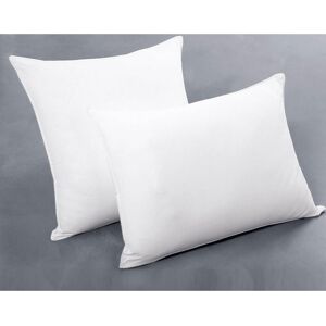 Becquet Oreiller Antiacariens, Antibactériens blanc 65 x 65 cm unisex - Publicité Becquet Oreiller Antiacariens, Antibactériens blanc 65 x 65 cm unisex - Publicité