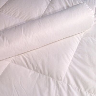 Selenia Traversin 30% duvet TREBOR 140 cm unisex - Publicité Selenia Traversin 30% duvet TREBOR 140 cm unisex - Publicité