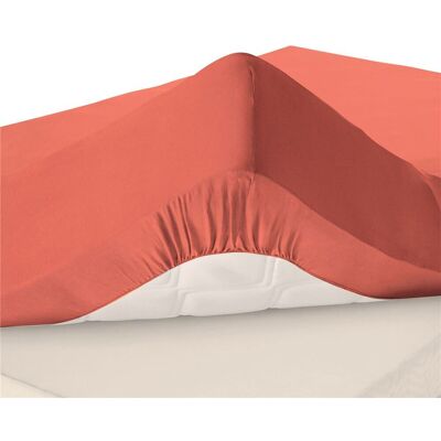 Becquet Drap-housse uni en jersey Super Grands Bonnets 40 cm orange poterie 120 x 190 cm unisex - Publicité Becquet Drap-housse uni en jersey Super Grands Bonnets 40 cm orange poterie 120 x 190 cm unisex - Publicité
