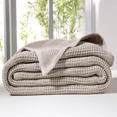 Becquet Couverture tempérée 300 g/m² en coton nid d'abeille grise - NID AB 250 x 270 cm unisex - Publicité Becquet Couverture tempérée 300 g/m² en coton nid d'abeille grise - NID AB 250 x 270 cm unisex - Publicité