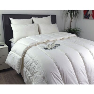 Becquet Couette microfibre legère 200gr- Blanc 240 x 220 cm unisex - Publicité Becquet Couette microfibre legère 200gr- Blanc 240 x 220 cm unisex - Publicité