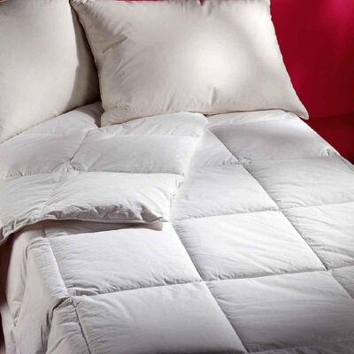 Selenia Couette Naturelle Très Légère 30% Duvet 220 gr/m² 260 x 240 cm unisex - Publicité Selenia Couette Naturelle Très Légère 30% Duvet 220 gr/m² 260 x 240 cm unisex - Publicité