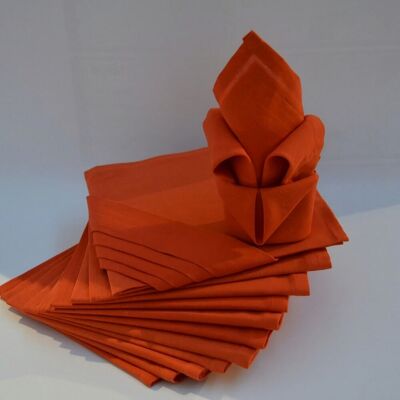 Calitex Lot de 12 Serviettes ARC EN CIEL Paprika 44 x 44 cm 12 unisex - Publicité Calitex Lot de 12 Serviettes ARC EN CIEL Paprika 44 x 44 cm 12 unisex - Publicité