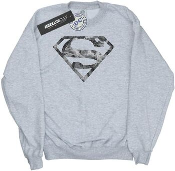 Sweat-shirt enfant Dc Comics BI14931 Gris