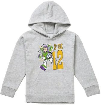 Sweat-shirt enfant Toy Story I'm 12 Gris