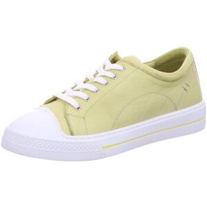 Ville basse Andrea Conti - Jaune - Publicité Ville basse Andrea Conti - Jaune - Publicité