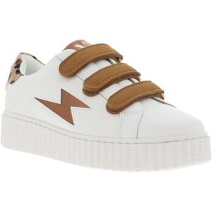 Baskets basses Vanessa Wu 27797CHAH25 Marron - Publicité Baskets basses Vanessa Wu 27797CHAH25 Marron - Publicité