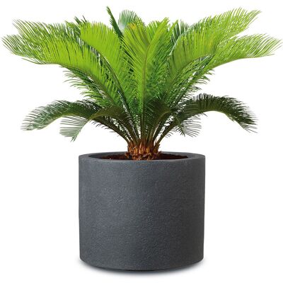 SCHEURICH Pot à plantes « Riva », plastique, rond (noir granit, 50 cm) 50 cm noir granit - Publicité SCHEURICH Pot à plantes « Riva », plastique, rond (noir granit, 50 cm) 50 cm noir granit - Publicité