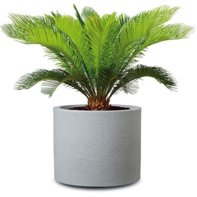 SCHEURICH Pot à plantes « Riva », plastique, rond (gris, 50 cm) 50 cm gris - Publicité SCHEURICH Pot à plantes « Riva », plastique, rond (gris, 50 cm) 50 cm gris - Publicité