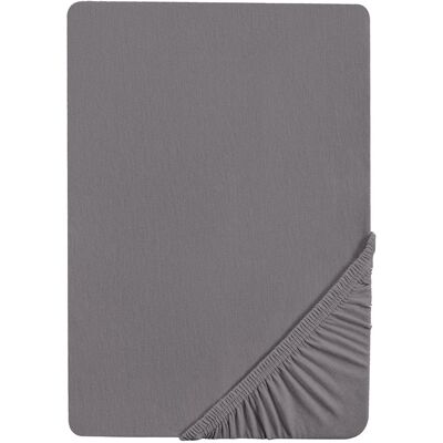 BIBERNA Drap-housse en jersey (argent, 90 - 100 x 200 cm) 90-100 x 200 cm argent - Publicité BIBERNA Drap-housse en jersey (argent, 90 - 100 x 200 cm) 90-100 x 200 cm argent - Publicité