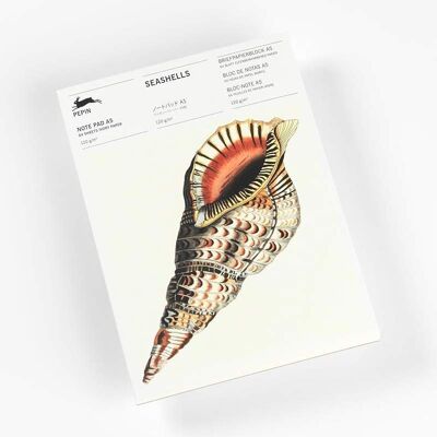 PEPIN PRESS Bloc-notes - A5 - 64 Feuilles Papier Ivoire - 120g - Avec Illustrations De Coquillages - Publicité PEPIN PRESS Bloc-notes - A5 - 64 Feuilles Papier Ivoire - 120g - Avec Illustrations De Coquillages - Publicité
