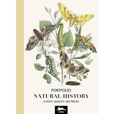 PEPIN PRESS Estampes - 8 Reproductions Fleurs Et Insectes - 42x30cm - Haute Qualité - Affiches - Publicité PEPIN PRESS Estampes - 8 Reproductions Fleurs Et Insectes - 42x30cm - Haute Qualité - Affiches - Publicité