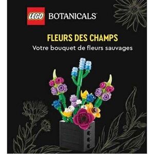 HUGINN & MUNINN Lego Botanicals Fleurs Des Champs Coffret Papier Noir 13,2x11,3x5,8cm Huginn & Muninn