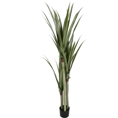 HOMCOM Yucca artificiel grand 190 cm plante artificielle en plastique en pot, 17 x 17 x 190 cm Vert émeraude - Publicité HOMCOM Yucca artificiel grand 190 cm plante artificielle en plastique en pot, 17 x 17 x 190 cm Vert émeraude - Publicité