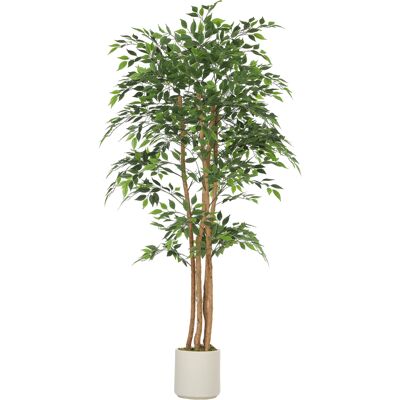 HOMCOM Banian artificiel Plante artificielle avec tronc en bois massif, pot, pour salon chambre bureau 75 x 75 x 180 cm Vert - Publicité HOMCOM Banian artificiel Plante artificielle avec tronc en bois massif, pot, pour salon chambre bureau 75 x 75 x 180 cm Vert - Publicité