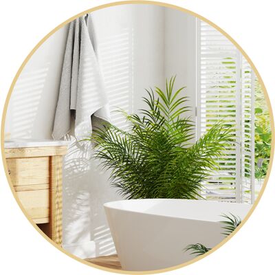 HOMCOM Miroir rond miroir salle de bain cadre en métal facile à installer, pour chambre, salon, entrée, Ø 70 x 2,5 cm or - Publicité HOMCOM Miroir rond miroir salle de bain cadre en métal facile à installer, pour chambre, salon, entrée, Ø 70 x 2,5 cm or - Publicité