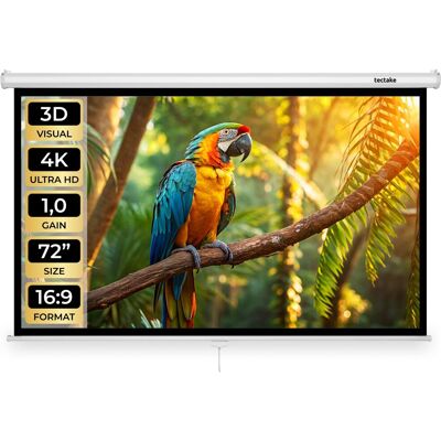 TecTake GmbH Écran de projection Cinema, 16:9, 4K, HD, pour mur ou plafond - blanc - Publicité TecTake GmbH Écran de projection Cinema, 16:9, 4K, HD, pour mur ou plafond - blanc - Publicité