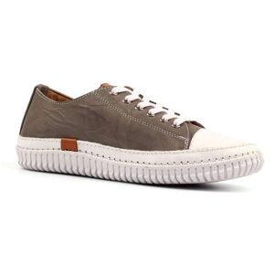 Lunar Lunar Grey Truffle Plimsoll Shoes Grey EU 40 (UK 7) - Publicité Lunar Lunar Grey Truffle Plimsoll Shoes Grey EU 40 (UK 7) - Publicité