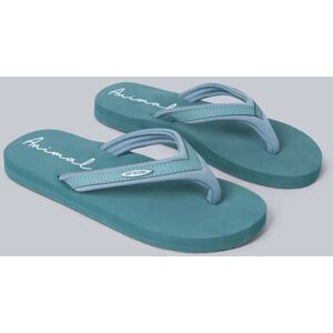 Animal Animal Light Green Womens Swish Flip Flops - Publicité Animal Animal Light Green Womens Swish Flip Flops - Publicité