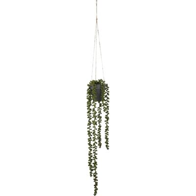 Mica Decorations Plante Artificielle Senecio - H56 Cm - Vert - Publicité Mica Decorations Plante Artificielle Senecio - H56 Cm - Vert - Publicité