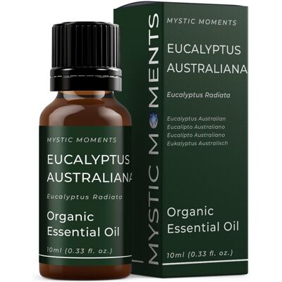 Mystic Moments - Eucalyptus Radiata - Huile essentielle - Publicité Mystic Moments - Eucalyptus Radiata - Huile essentielle - Publicité