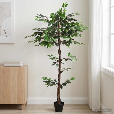 Plante Ficus Artificielle Vert 85 X 18 X 160 Cm Tissu Et Bois Vidaxl - Publicité Plante Ficus Artificielle Vert 85 X 18 X 160 Cm Tissu Et Bois Vidaxl - Publicité